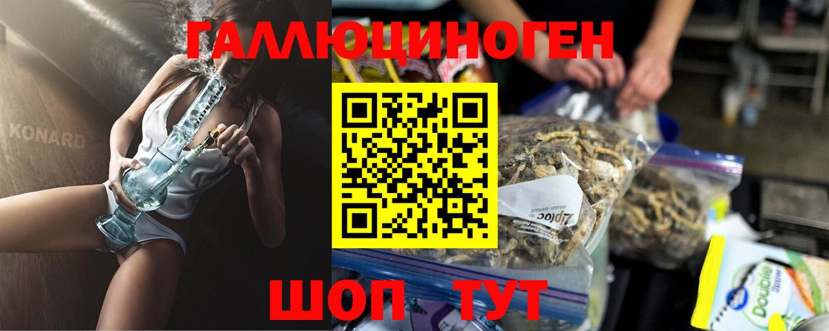 Псилоцибиновые грибы MAGIC MUSHROOMS  Галлюциногенные грибы GOLDEN TEACHER  Камышлов  Вход с VPN 